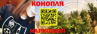 прущие грибы Иваново