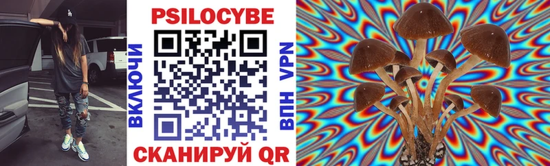 Псилоцибиновые грибы Psilocybe  Искитим 