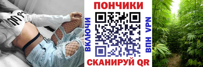 MEGA ТОР  цены наркотик  Искитим  Канабис OG Kush 